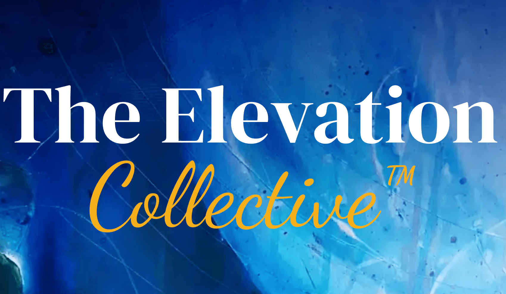 Reflections from Summer’s Elevation Collective™ Quarterly Event